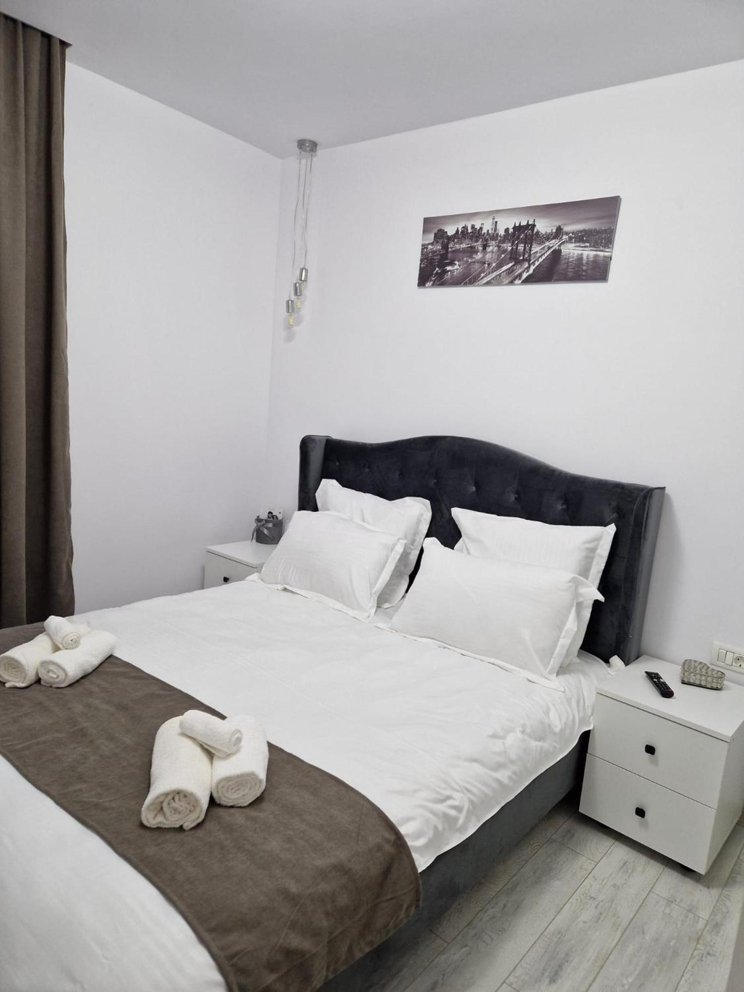 Tag Apartament Timişoara Exterior foto