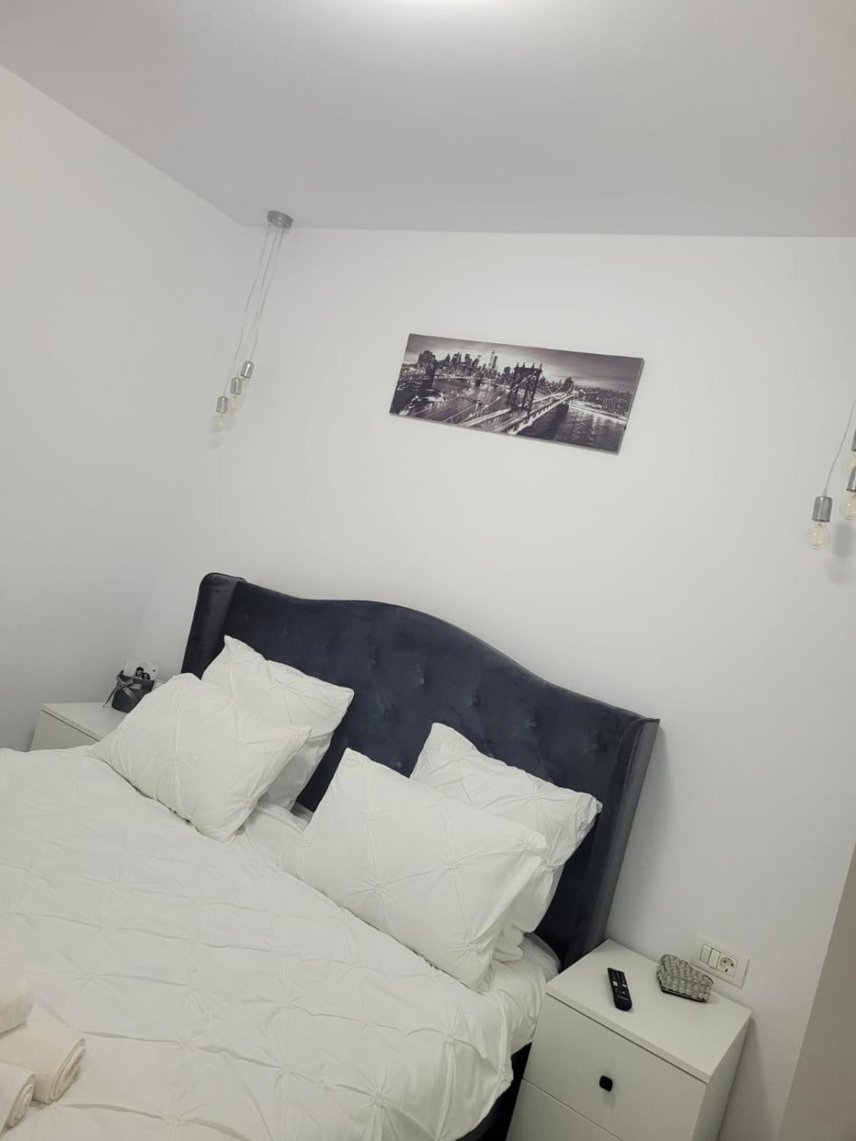 Tag Apartament Timişoara Exterior foto